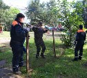 В одном из дворов Южно-Сахалинска демонтировали аварийную детскую площадку