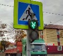 Оригинальный способ перехода проезжей части предложили жителям Поронайска