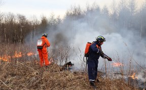 Общество