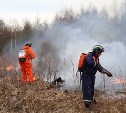 Больше девяти часов потребовалось на тушение горящей травы в Анивском районе