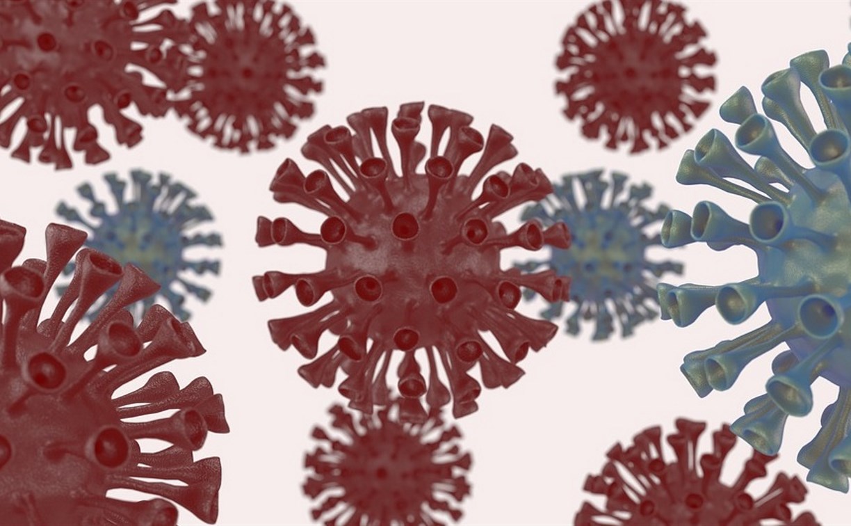 Число заболевших коронавирусом перевалило за 2000 на Сахалине и Курилах с начала пандемии