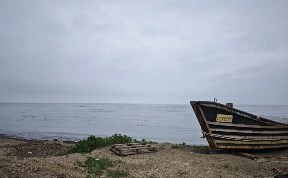 Общество