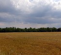 Дождливое воскресенье ждёт Сахалинскую область: прогноз на 22 июня