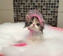 Пригород Южно-Сахалинска оставят без воды в понедельник