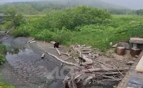 Общество