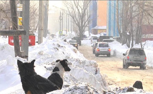 Лед, снег и люди - что остается за кадром отчетов о расчистке Южно-Сахалинска