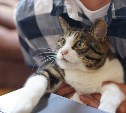 Неработающих россиян предлагают лишить бесплатной медицины