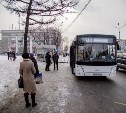 Восемь новых автобусов вышли на линию в Южно-Сахалинске