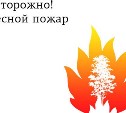 Высокая пожарная опасность прогнозируется в двух районах Сахалина