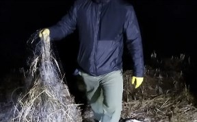 Общество