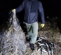 За неделю на Сахалине выявили 63 нарушения правил рыболовства