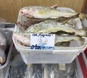 Рыбопромышленники оставят доступные цены на навагу на Сахалине
