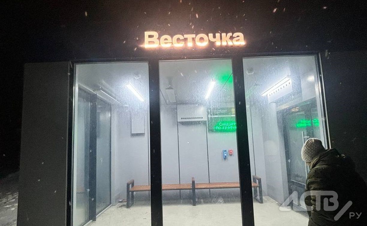 Житель Весточки рассказал, кто превратил остановку на трассе в гостиницу для животных