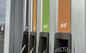 Общество