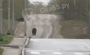 Происшествия