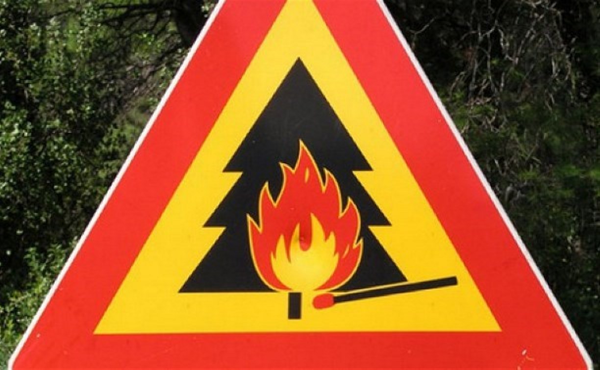 Высокая пожарная опасность прогнозируется в лесах четырёх районов Сахалина