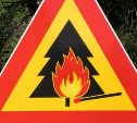 Высокая пожарная опасность прогнозируется в лесах четырёх районов Сахалина