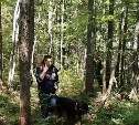 Спасатели 8 часов искали потерявшегося сахалинца в труднопроходимом лесу 