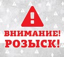 ГИБДД просит помощи в установлении водителя, сбившего пешехода в Южно-Сахалинске