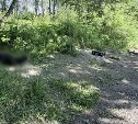 Труп обнаружили на берегу реки в Южно-Сахалинске