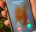 Сахалинские пенсионерки решили заработать на инвестиции и лишились накоплений