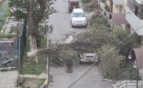 Происшествия