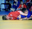 Больше сотни юных самбистов собрал турнир в Долинске