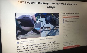 Общество