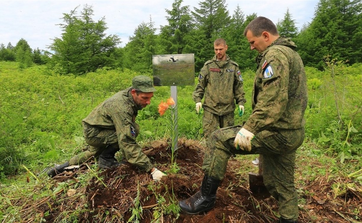 На местах гибели военных лётчиков в Макаровском районе установили памятные  таблички - Новости Сахалинской области - astv.ru