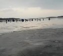 Больше 15 человек провалились под лед на озере Малое Буссе
