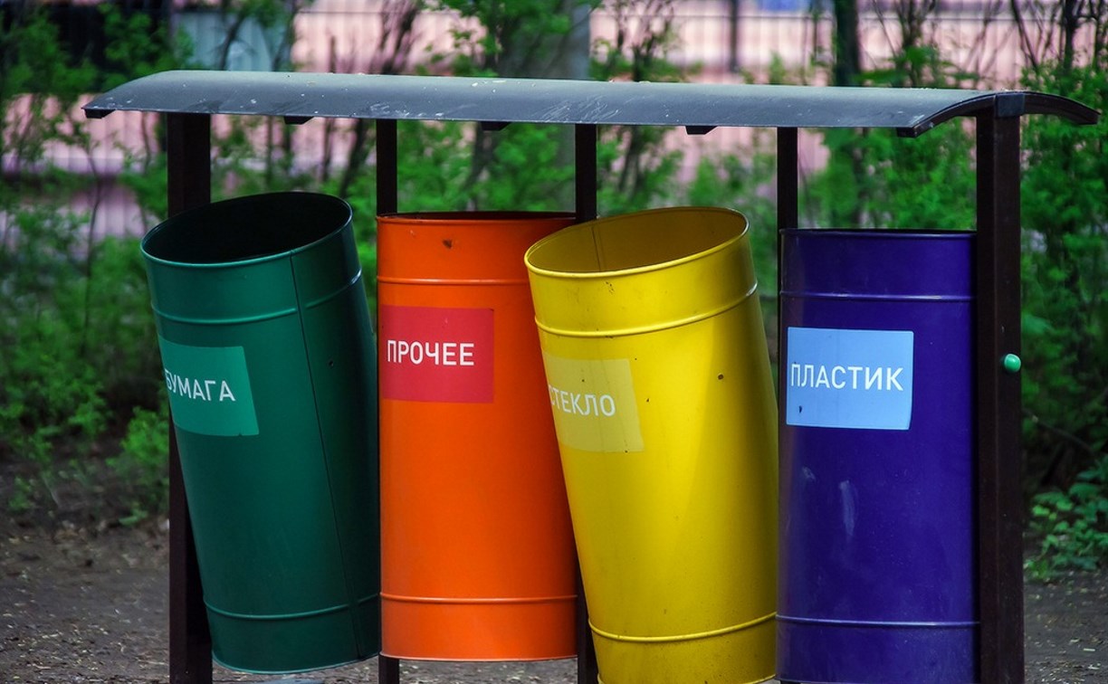 В эколагере в Корсакове займутся раздельным сбором мусора