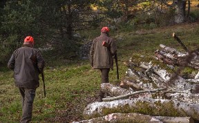 Общество
