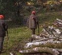 В России вводится экзамен для получения охотничьего билета