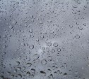Очень сильный дождь и порывистый ветер накроют центральную часть Сахалина