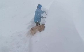 Общество