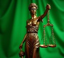 Сахалинец 4 года не платил аренду и лишился участка, на котором хотел построить дом