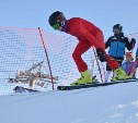Чемпионат России по горнолыжному спорту пройдет среди инвалидов на «Горном воздухе»