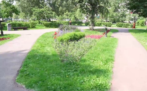 "Я иду к тебе на встречу, я краду тебе цветы": горожане обдирают клумбы в Южно-Сахалинске