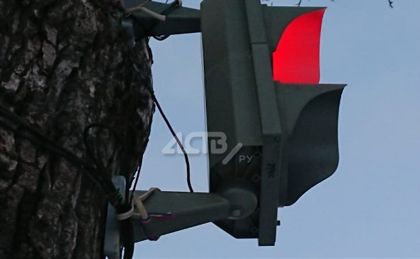 Светофор на перекрёстке в Южно-Сахалинске переедет с дерева на столб