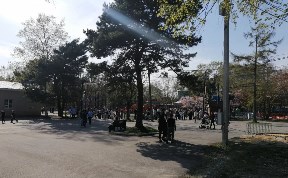 Общество