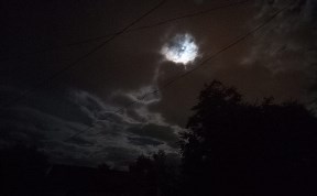 Общество