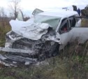 Грудной ребенок погиб при лобовом столкновении автомобилей на юге Сахалина (ФОТО, ВИДЕО)