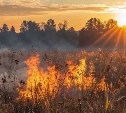 Сухую траву потушили в Рыбацком