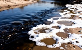 Происшествия