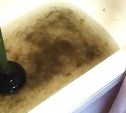 Канализация поднимается в квартиры жильцов одного из домов в Дальнем