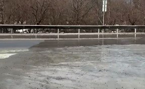 Происшествия