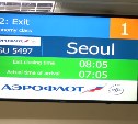 Сахалинцы встретили рейс из Сеула без медицинских масок