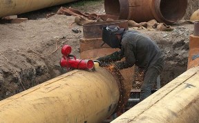Общество