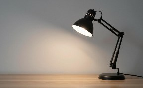Общество