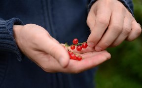 Общество